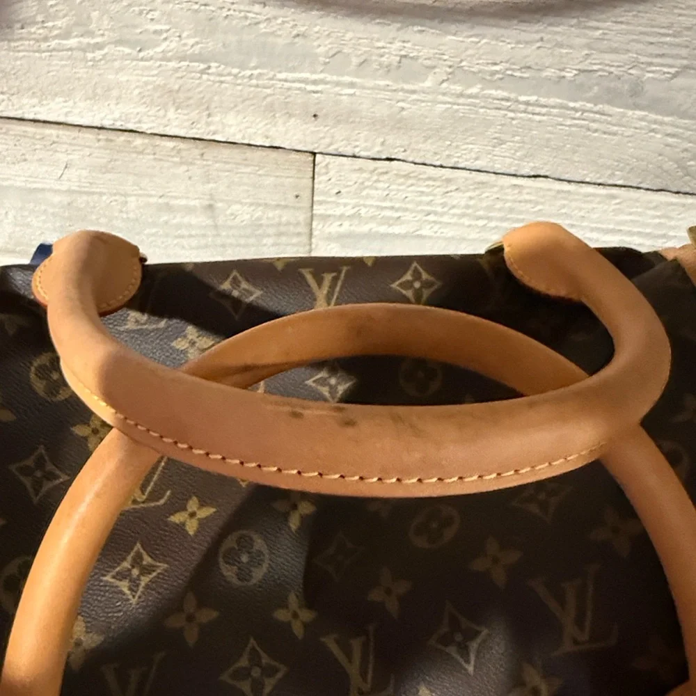Louis Vuitton Monogram Pet Carrier - Authentic
